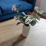 Gemuetliche 2 Zim Mit Fahrradstellplaetzen 科布倫茨