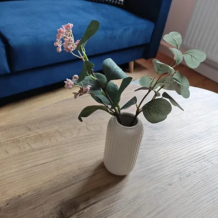 Gemuetliche 2 Zim Mit Fahrradstellplaetzen Koblenz (Rhineland-Palatinate)