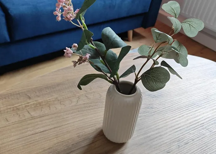 Gemuetliche 2 Zim Mit Fahrradstellplaetzen コブレンツ